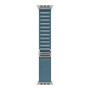 Apple Watch Ultra 3 49mm Natural Titanium Case with Light Blue Alpine Loop Large (MEWP4) 2025